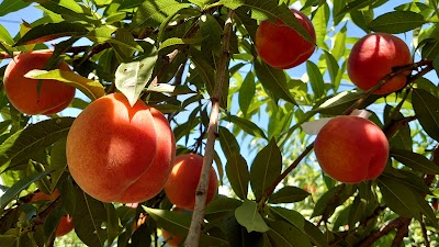 バード和田農園