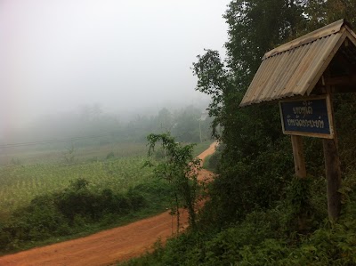 Photos of Ban Nayangtai