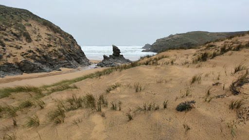 Photo de Crèche Gribouille à Bangor (56360)