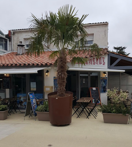 Photo 1 - Burger Avenue