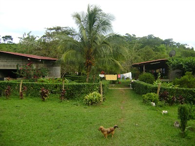 Photos of Finca la Llorona