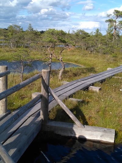 Photos of Lielais Ķemeru tīrelis
