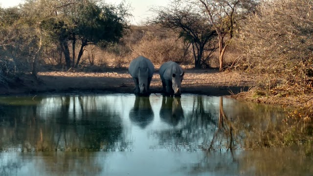 Khama Rhino Sanctuary