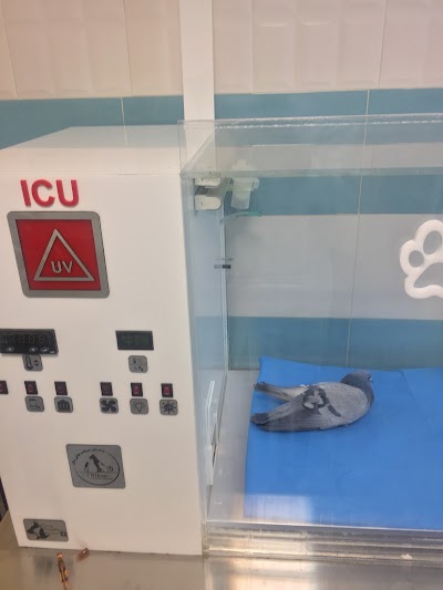 Photos of Nikan Pet Hospital