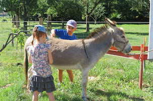 Photo n°16 de Ferme Équestre De La Forge à Étueffont (Loueur de chevaux)