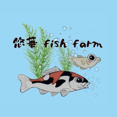悠華fishfarm(錦鯉・金魚・メダカ)