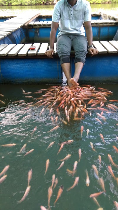 Photos of Madu Ganga Fish Therapy