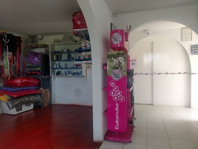 veterinary-care