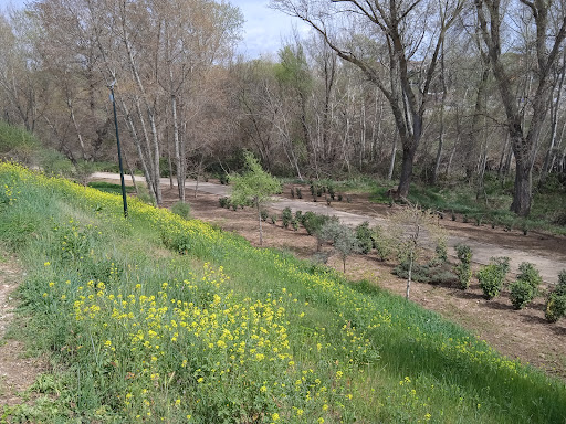 Mirador del Río Henares - Thumbnail