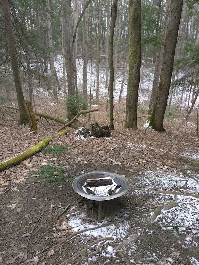 Photos of Opossum Creek Retreat