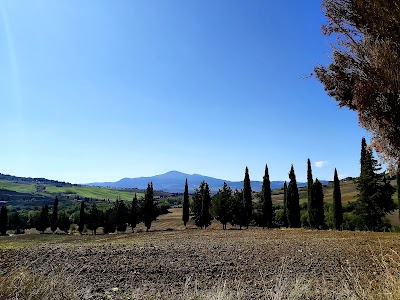 Strada dei Cipressi (SP 88)