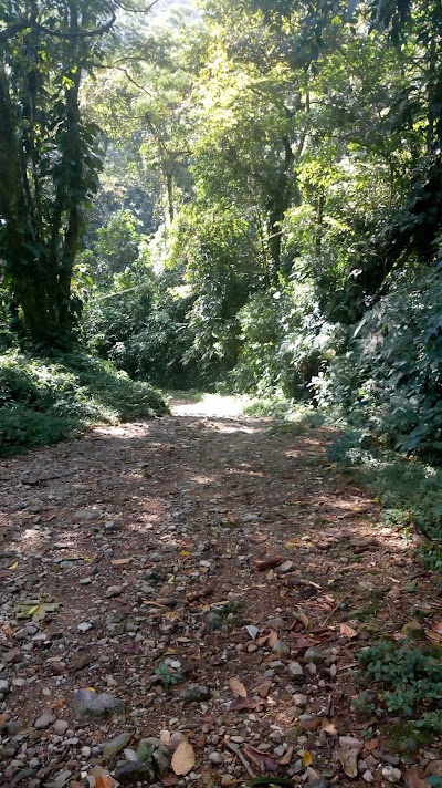 Photos of La Escuela, Vereda El Carmen