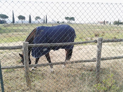 Photos of Parco delle Sabine