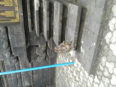 Photos of Pura Hanuman Segara Rupek