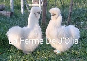Photo n°8 de La Ferme De J'Olia à Aubas (Élevage de volailles)