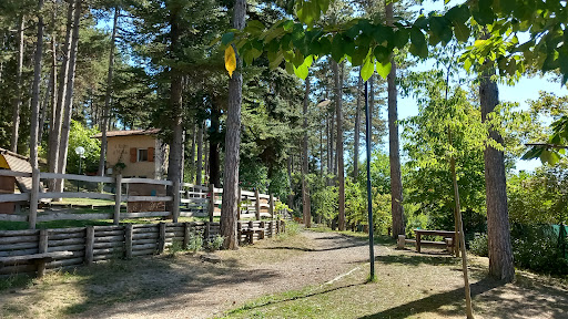 Pineta Di Casina