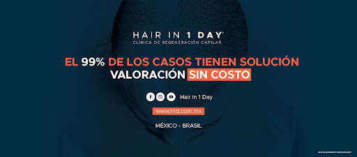 Hair In 1 Day
