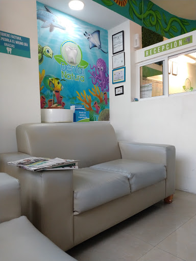 Dental Natura (Av. Tulum) - Thumbnail