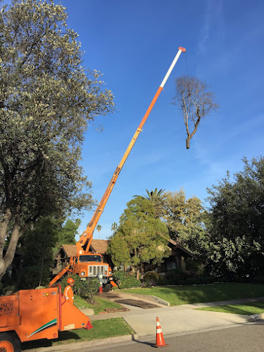 Andy's Tree Service - Greenville