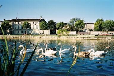 Cognac Duquai