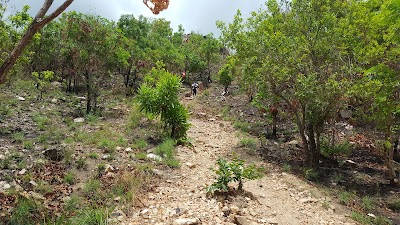 Photos of Mount Afadja
