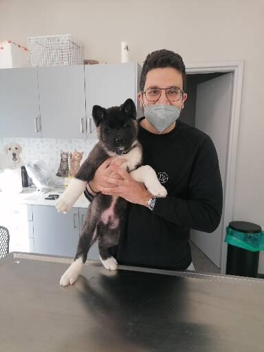 ΚΤΗΝΙΑΤΡΕΙΟ ΙΩΑΝΝΟΥ ΑΡΓΥΡΙΟΣ