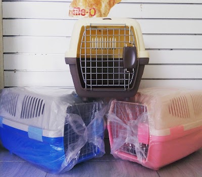 Photos of Moto Cats Petshop