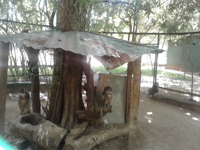 Photos of Gajaba Zoo