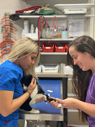 Photo n°41 de Clinique Vétérinaire des 7 Iles à Montfermeil (Clinique vétérinaire)