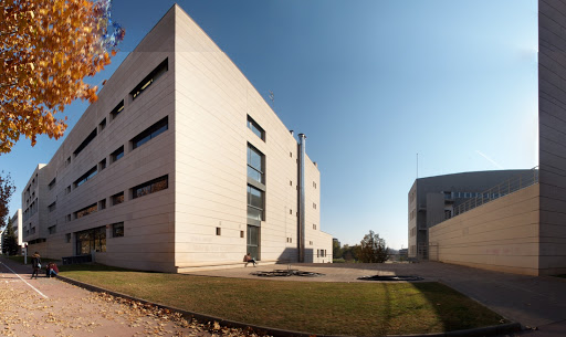 Edifici Polivalent - Visual