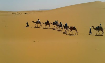 Photos of Adrar Aventure