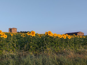 Photo n°11 de Camping Sauxillanges L'Eau Mère à Sauxillanges (Piscine)