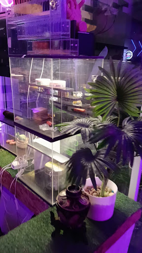 Happy Cannabis (Chaweng)