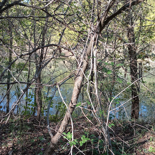 Crescent Bend Park - Thumbnail