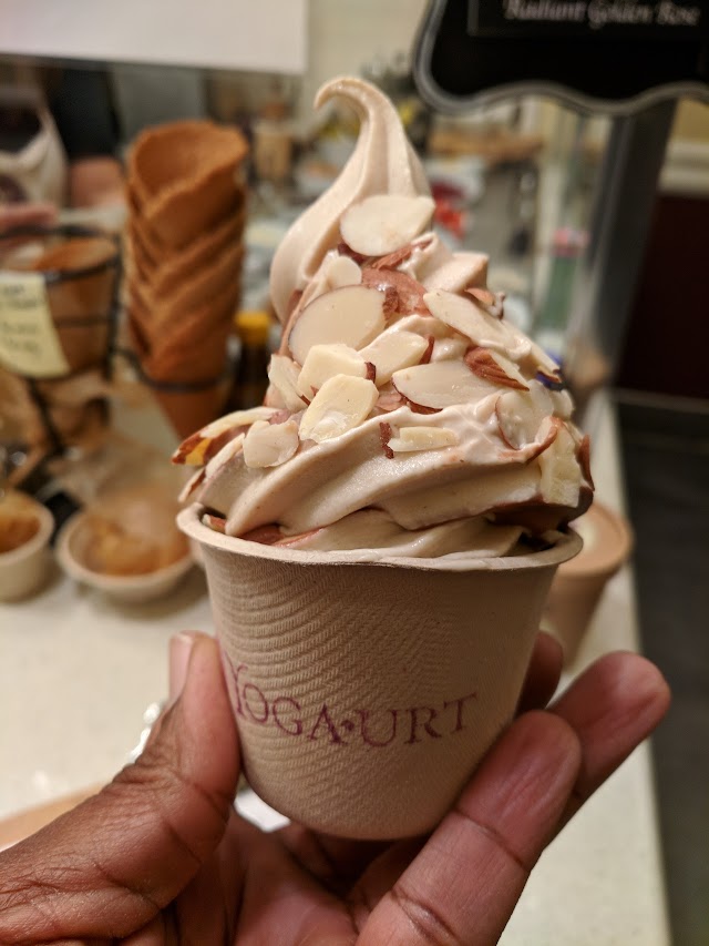 Yoga-urt