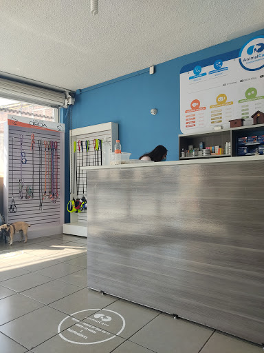 Animal Care Hospital Veterinario - Thumbnail