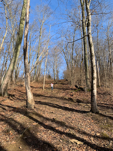 Williamsburg Community Park