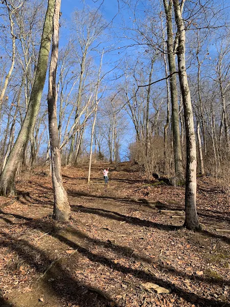 Williamsburg Community Park photo