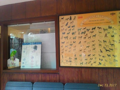 Photos of Suryani Handaja DR Drh