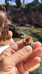 Photo n°23 de Rando Kayak Agay par Sport'Habitude à Saint-Raphaël (Agence de visites touristiques en canoë-kayak)