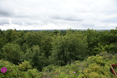 park