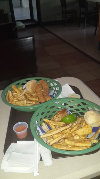 Photos of Snappers