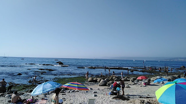 Horarios de Algarrobo Escuela de Surf