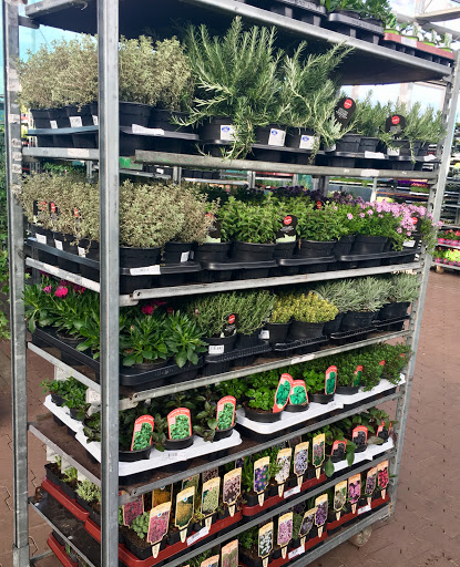 KINGKAUF - Unser Multidiscounter - Visual