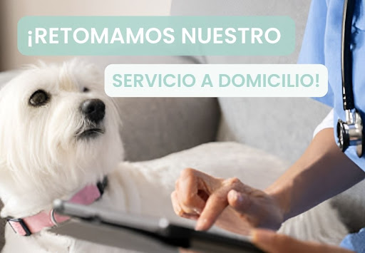 Clinica Veterinaria Terra (Catarroja)