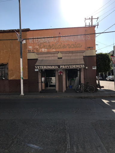 Veterinaria Providencia