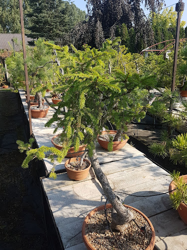 Opinie o Ired-Garden. ZPHU. Rostkowska I. w Nowa Sól - Ogrodnik