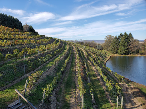 Blue Mountain Vineyards & Cellars - Thumbnail