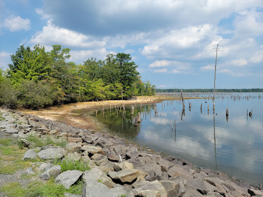 Chestnut Point Manasquan Reservoir