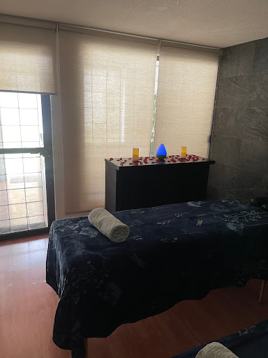 Shirley SPA - Visual